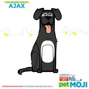 Meet your Posher, Kristen